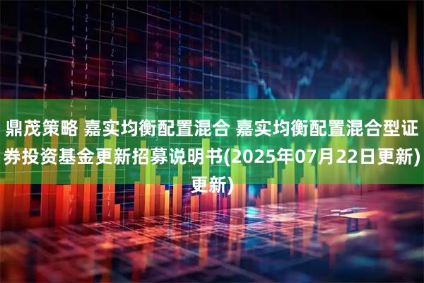 鼎茂策略 嘉实均衡配置混合 嘉实均衡配置混合型证券投资基金更新招募说明书(2025年07月22日更新)