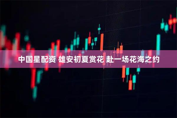 中国星配资 雄安初夏赏花 赴一场花海之约